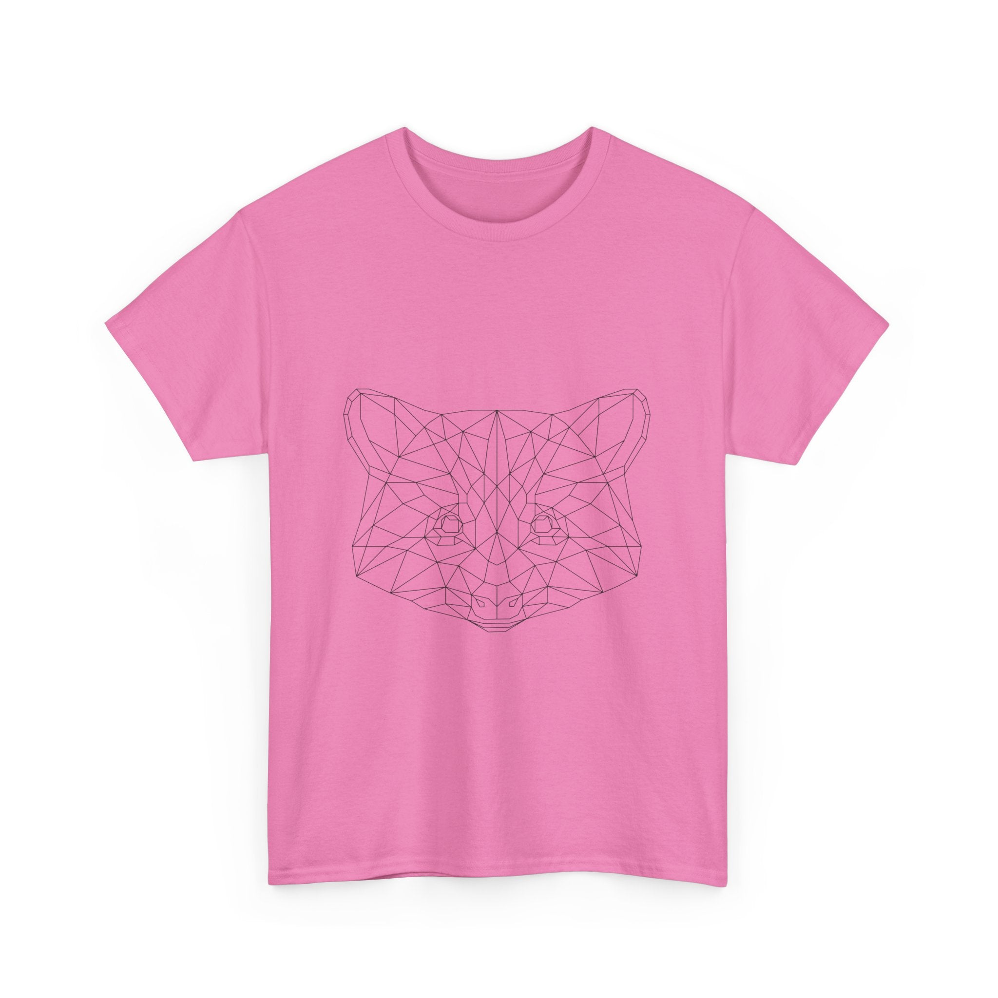 Raccoon-Animal Geometric