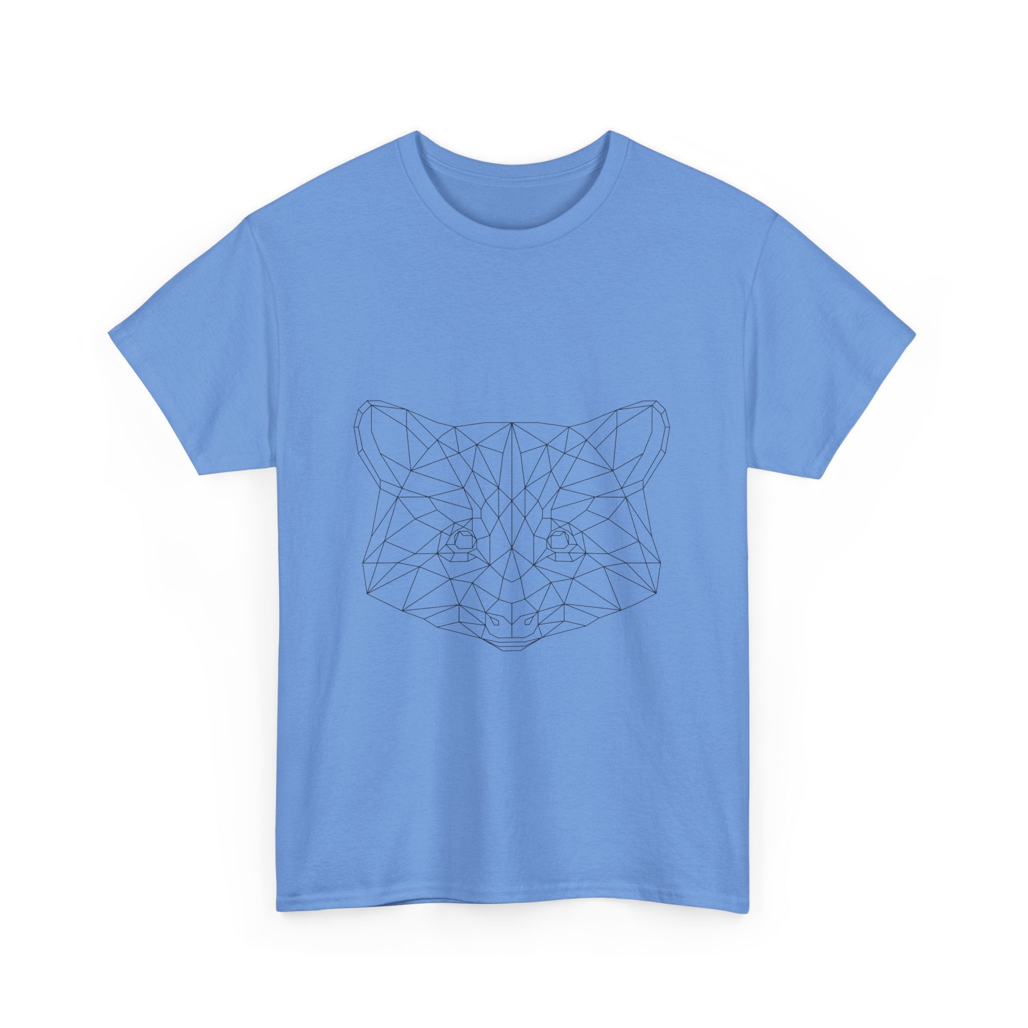 Raccoon-Animal Geometric