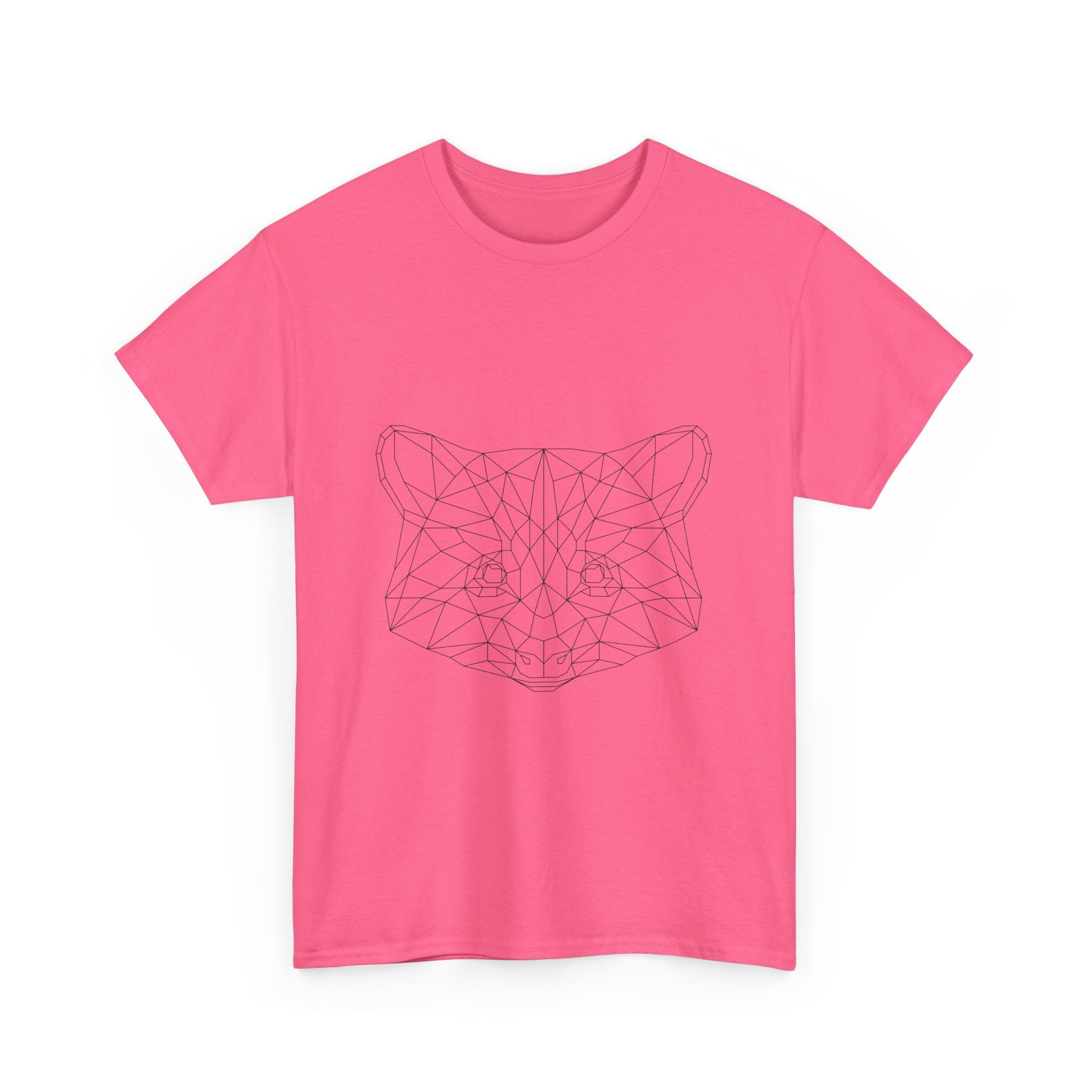 Raccoon-Animal Geometric